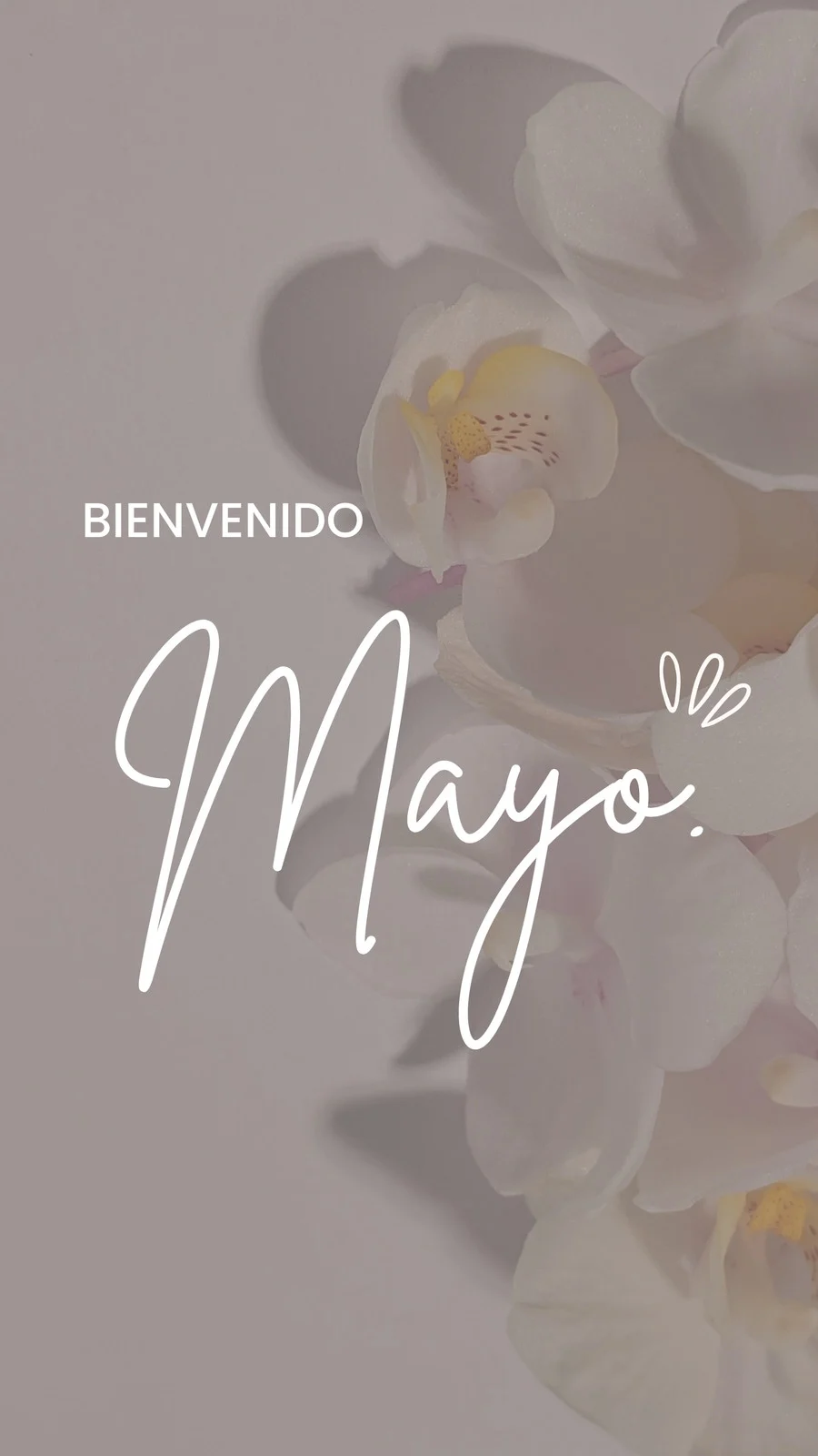 Bienvenido Mayo